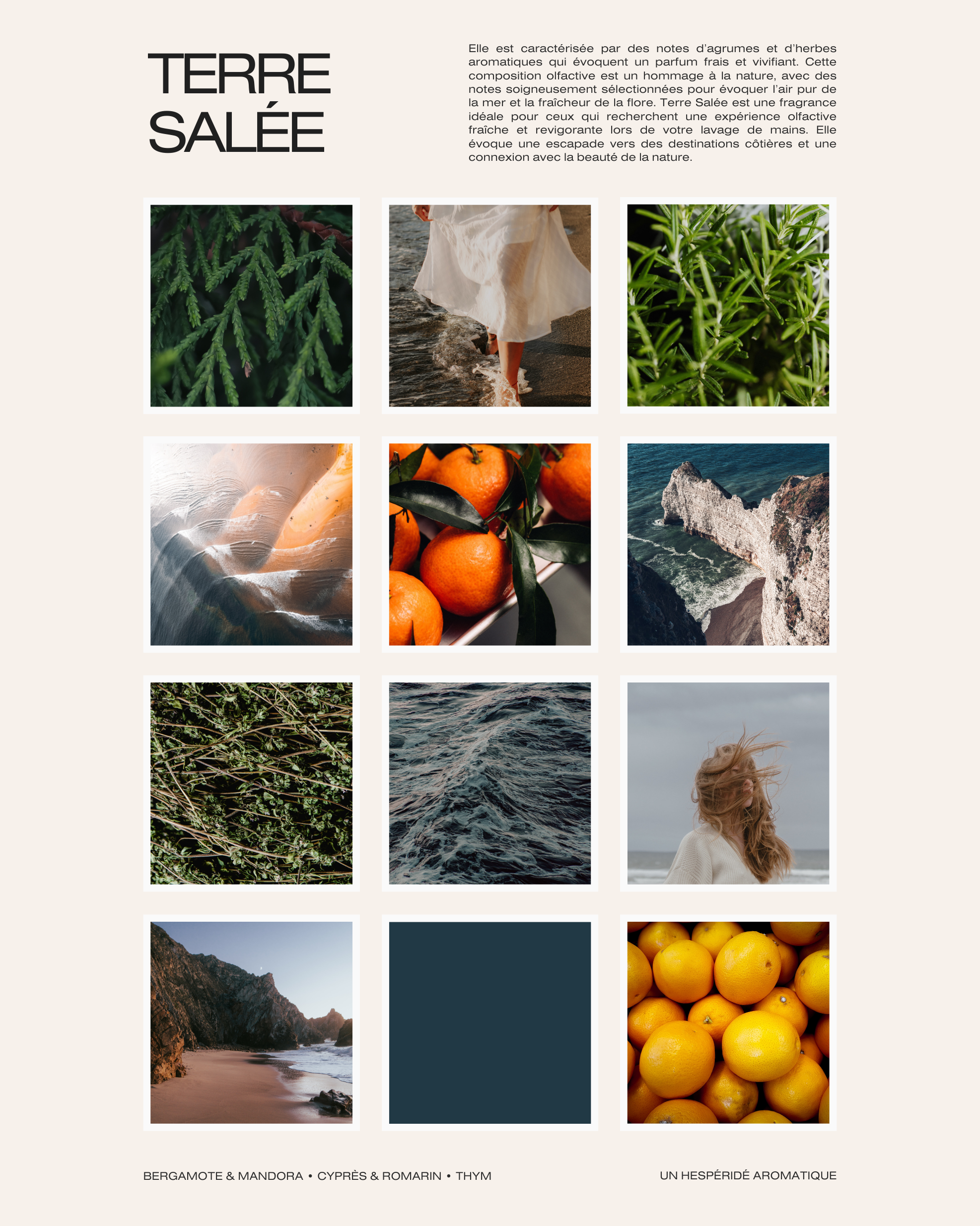 Le Soin Lavant (Mains) – Terre Salée
